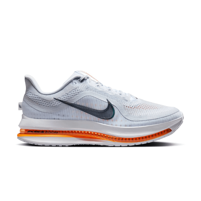 Nike Air Zoom Pegasus Premium Airscape - Main Image