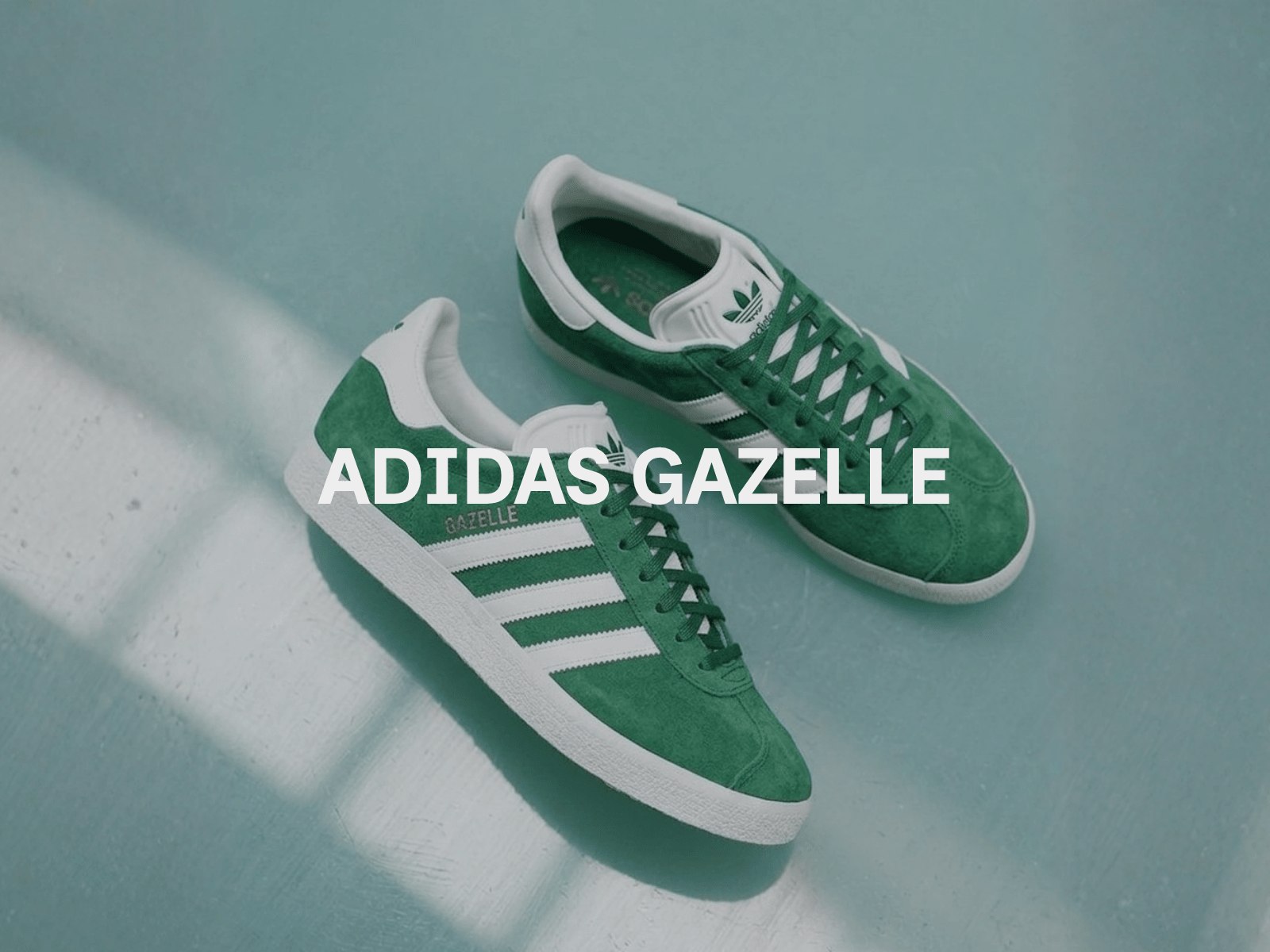 Gazelle