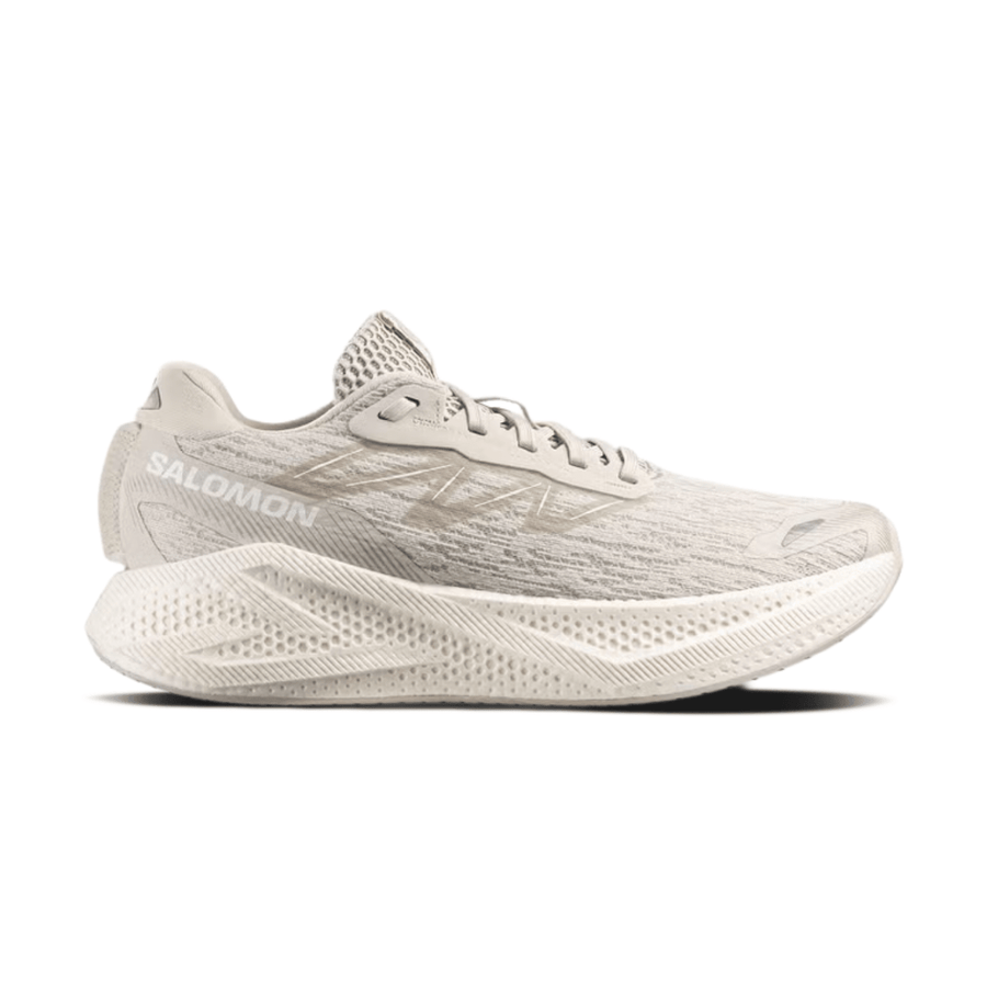 Salomon AERO GLIDE 4 Silver Cloud / Silver Cloud