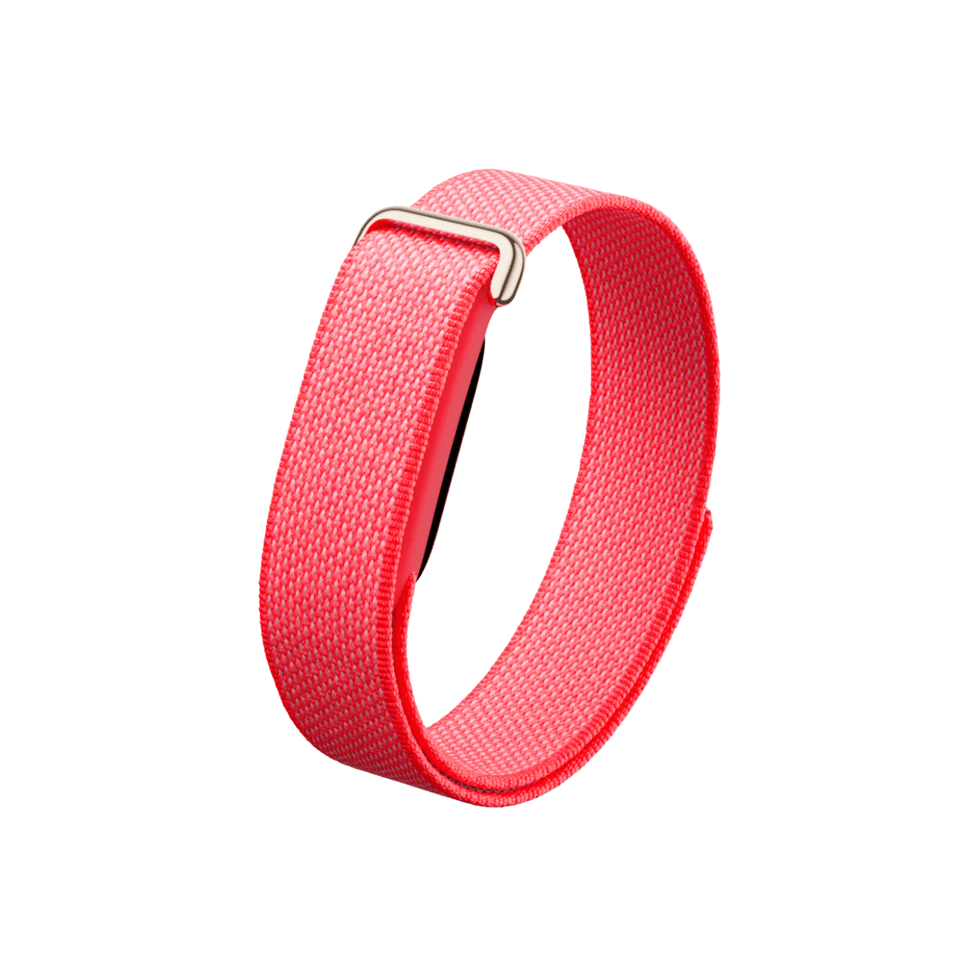 Google Fitbit Air Berry