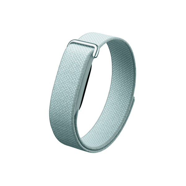 Google Fitbit Air Fog