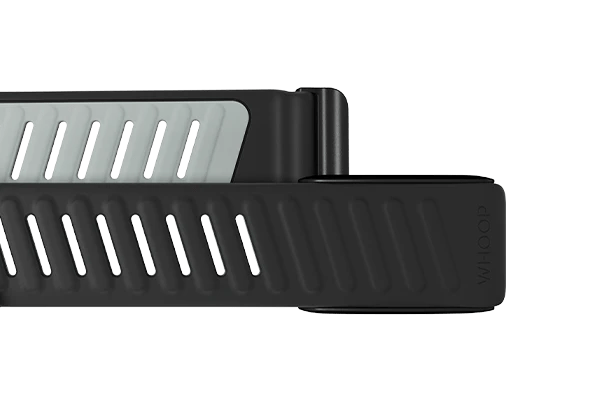 Whoop Force Sportflex Band Only