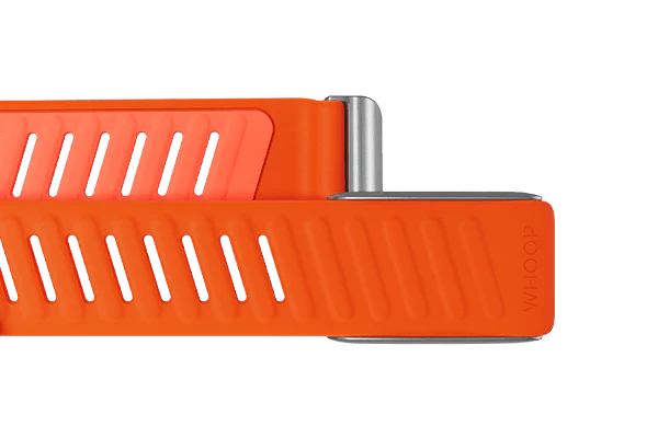 Whoop Surge Sportflex Band Only