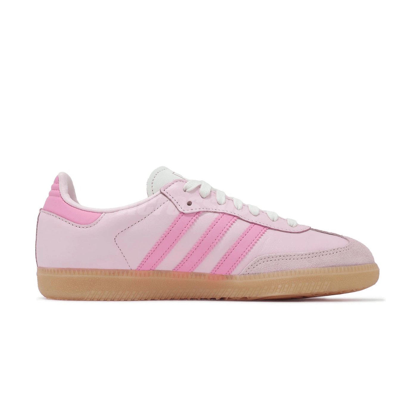 Adidas Samba OG Neapolitan Pack Clear Pink (Women's)